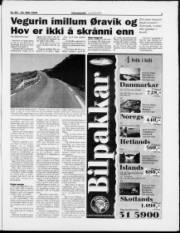 Síða 3
