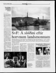 Síða 17