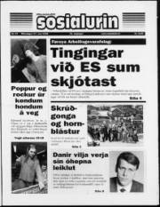 Síða 1