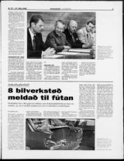 Síða 9