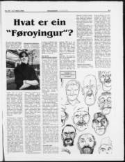 Síða 19