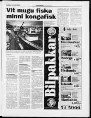 Síða 3