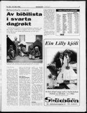 Síða 7