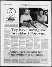 Síða 11