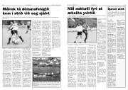 Síða 8