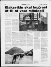 Síða 14