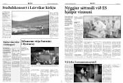 Síða 5