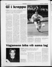 Síða 22
