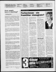 Síða 2