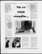 Síða 12