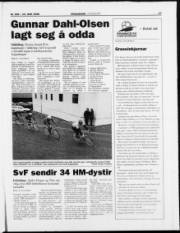 Síða 17