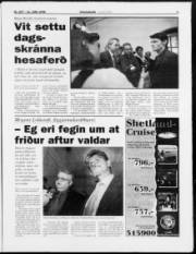 Síða 3