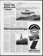 Síða 7