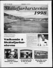Síða 9