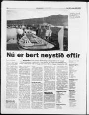 Síða 14