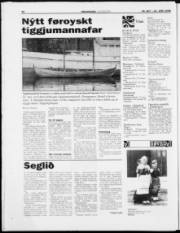 Síða 30