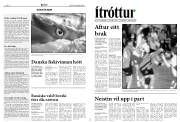 Síða 10
