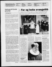Síða 2