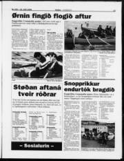 Síða 13