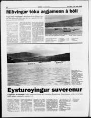 Síða 14