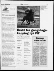 Síða 19