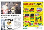 Síða 14
