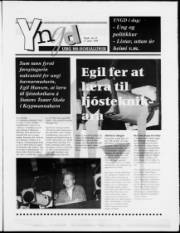 Síða 11