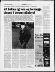 Síða 3