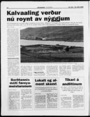 Síða 14