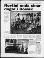 Síða 16