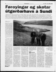 Síða 8