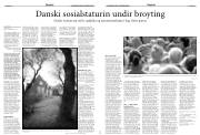 Síða 20