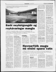 Síða 6