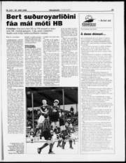 Síða 23