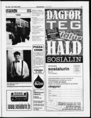 Síða 29