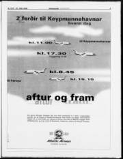 Síða 3