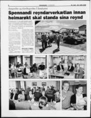 Síða 8