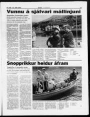 Síða 13