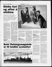 Síða 5