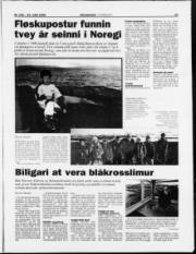 Síða 11