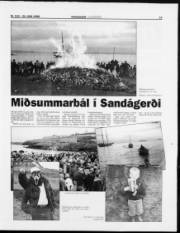 Síða 13