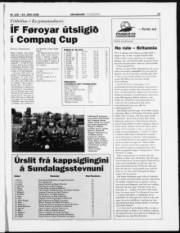Síða 15