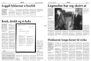 Síða 3