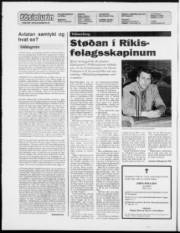 Síða 2