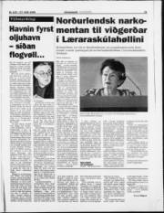 Síða 17