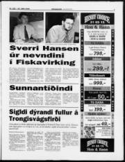 Síða 7