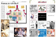Síða 12