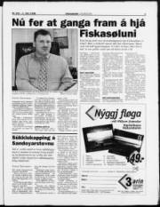 Síða 3