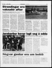 Síða 21