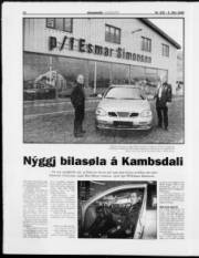 Síða 12